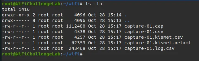 airodump-ng files