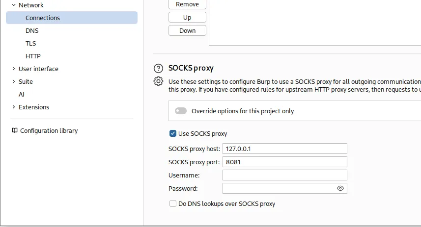 Browser or Burp proxy configuration