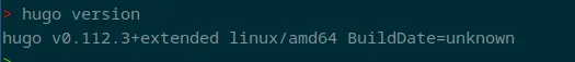 hugo_version_local.png